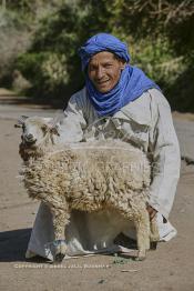 Image du Maroc Professionnelle de  Un berbère prend la pause avec son petit agneau à Tnine Ourika, le village berbère située dans la vallée de l'Ourika sur la route de l'Oukaimden dans le haut Atlas, Mardi 27 Février 2007. (Photo / Abdeljalil Bounhar)